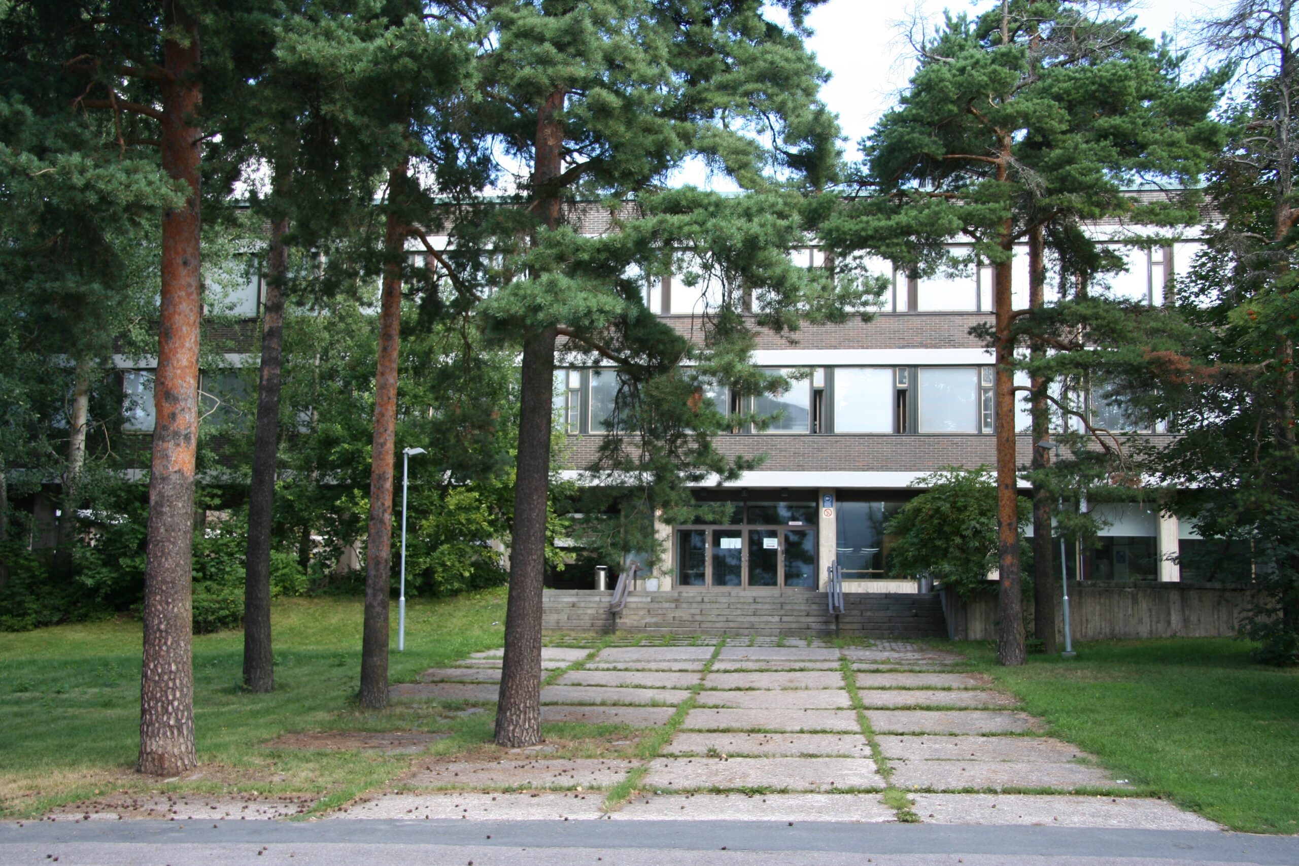 Koulutuspolitiikkaa pitäisi uudistaa työelämäpainotteisemmaksi